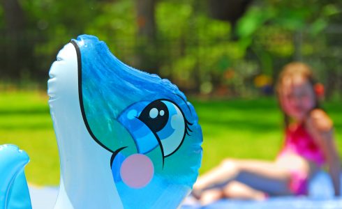 Avez-vous déjà un dauphin gonflable ? Avez-vous déjà un dauphin gonflable ?