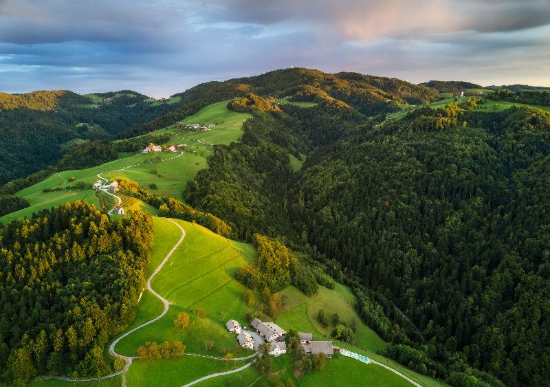 Les forêts de Slovénie.