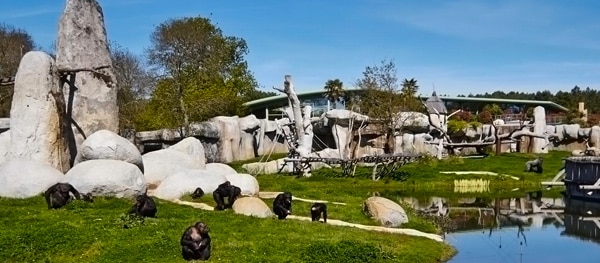 Zoo de La Palmyre 