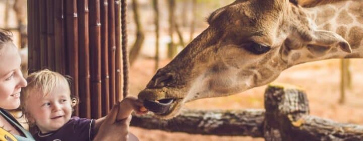 10 chouettes sorties avec les enfants en Espagne