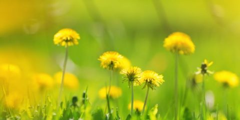 Où allez-vous ce printemps ?