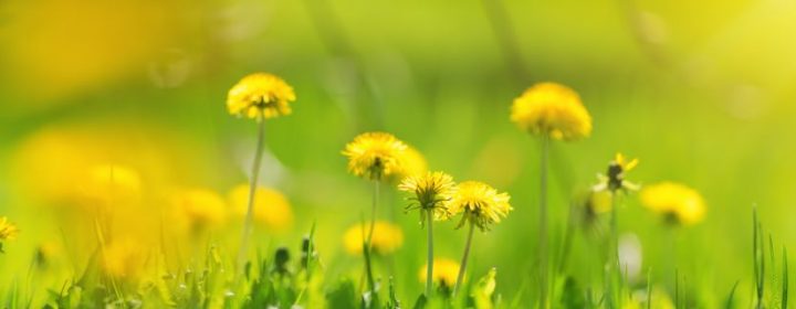 Où allez-vous ce printemps ?